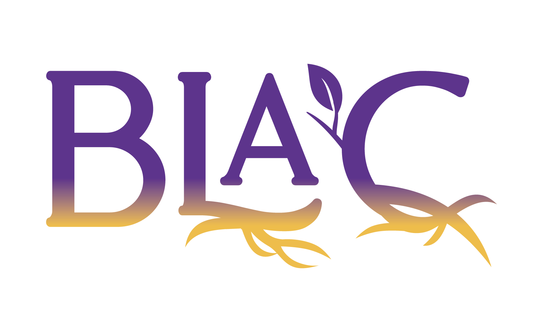 Black Appalachian Coalition