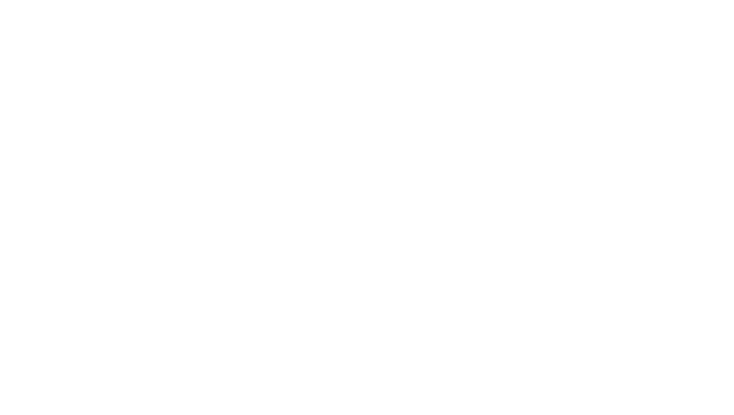 Blac white transparent logo